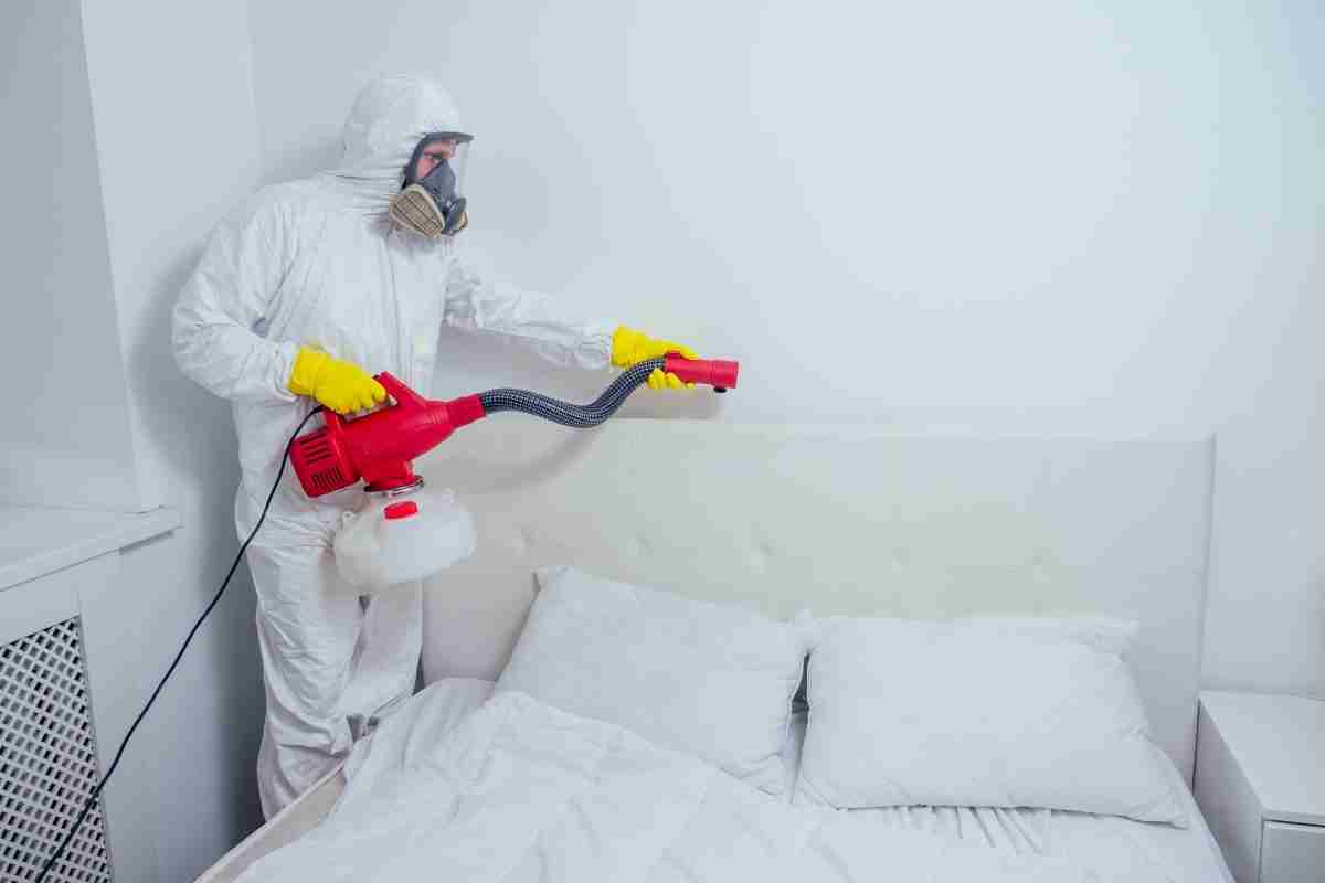 Preventing Airbnb bed bugs